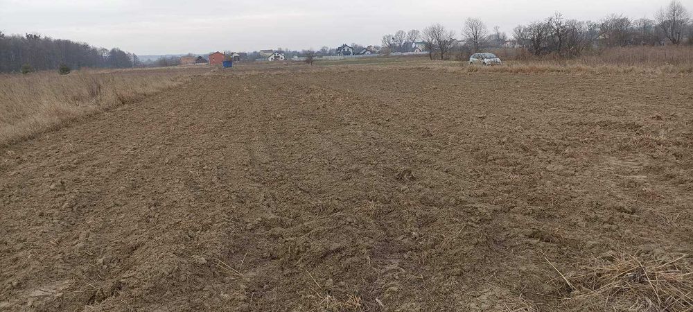 (5)  Продам земельну ділянку в Стрижавці 8916