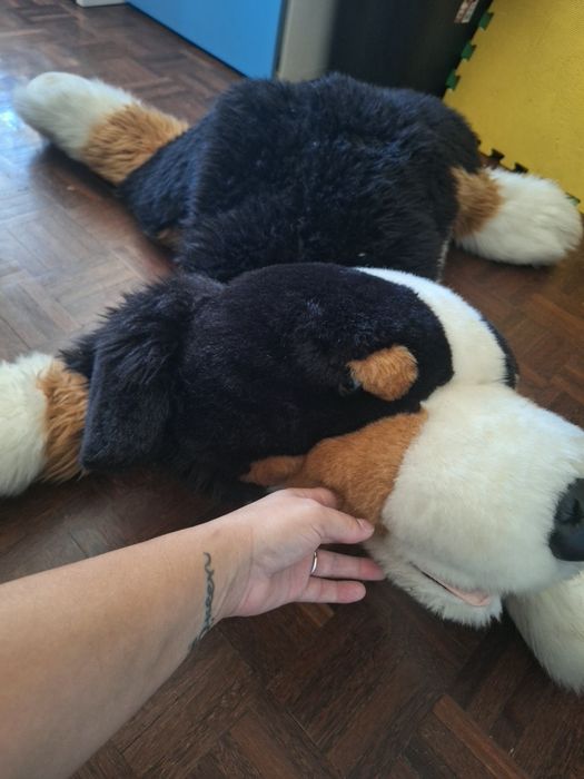 Cao grande mais carrinho 2 em 1 mais ovo
