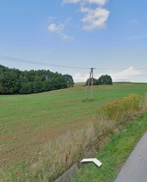 Zdjęcie 6