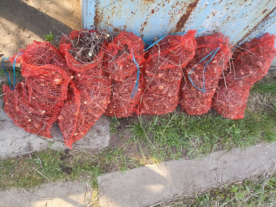 Подрібнювач гілок, измельчитель, дробилка для веток, оренда (аренда).