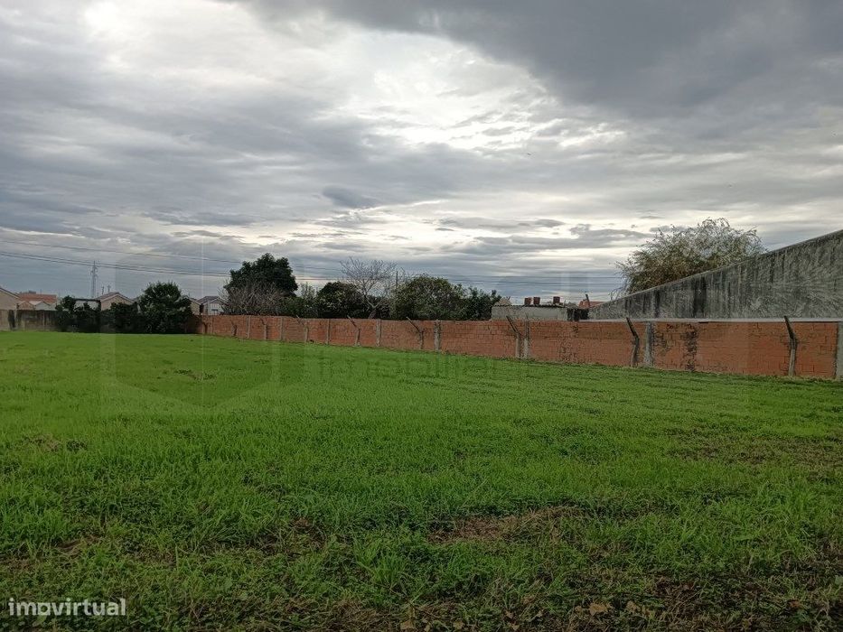 Terreno com 32m de frente Estarreja - Centro