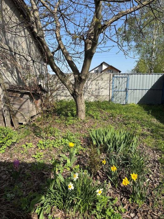 Продам будинок, 54 метри з ділянкою 23 сотки, Велика Димерка