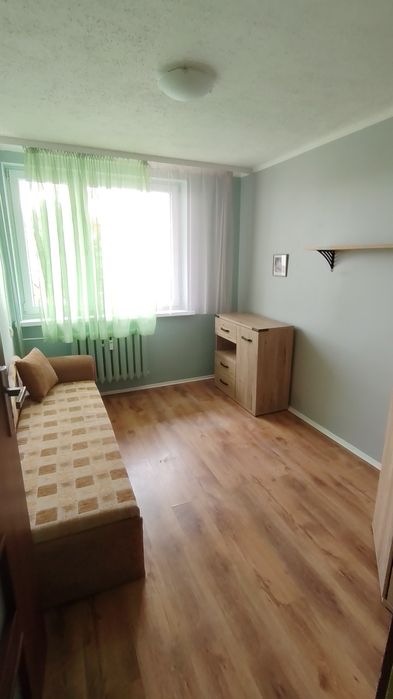 Zdjęcie 3