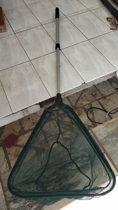 Camaroeiro de pesca extensível com 2,15m