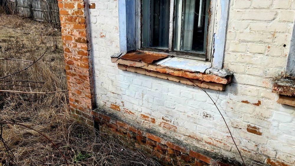 Дом у леса. Олешня. Голубые озёра. Не дорого.