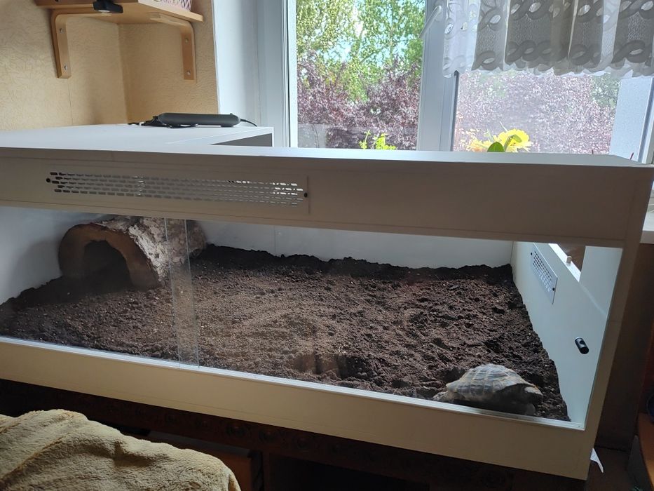 terrarium dla żółwia zdejmowane wieko