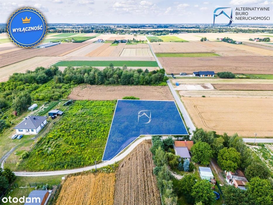 Wyjątkowa działka w spokojnej okolicy - Widok 4