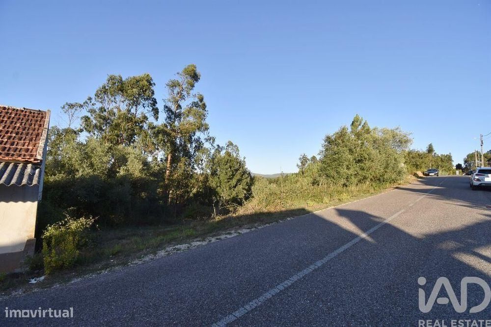 Terreno para construção em Pelariga