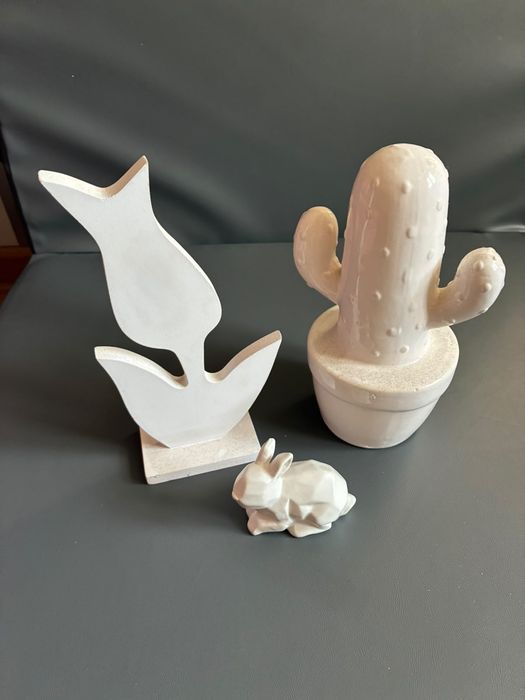 Kaktus, tulipan i królik