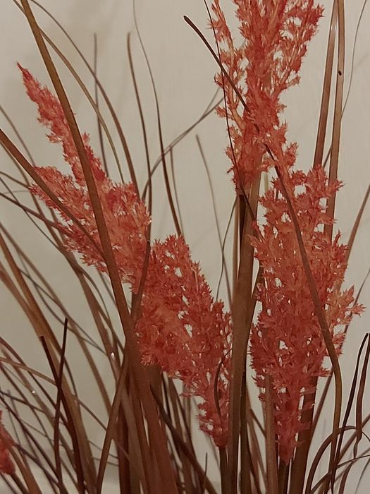 Рослина трава пампасна очерет штучна 90 см