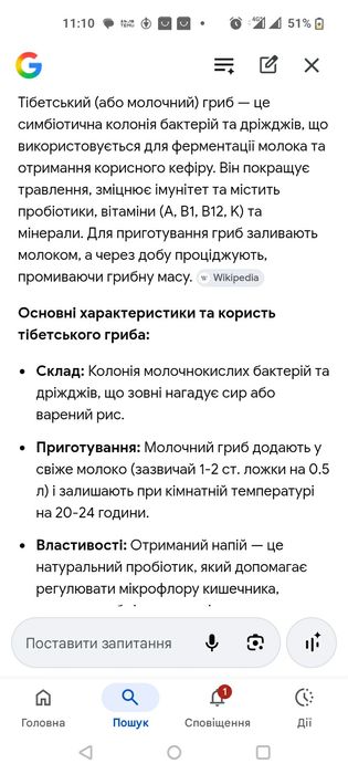 Тібетський молочний гриб.