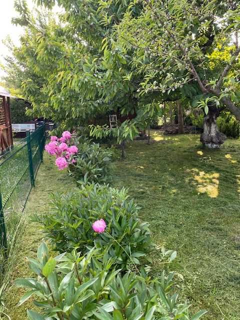 Działka ROD sprzedam