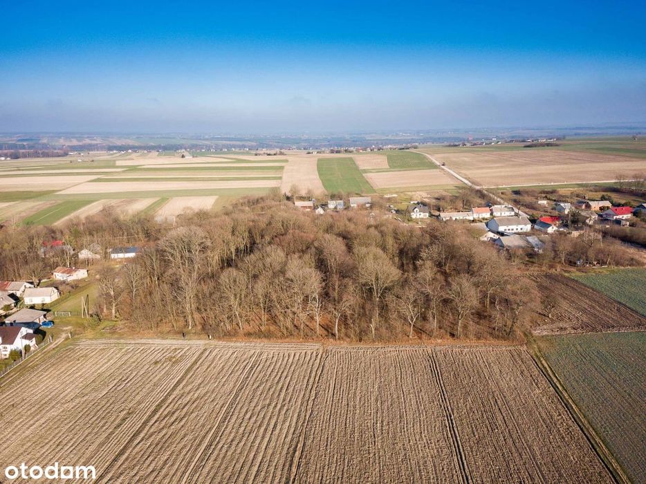 Na Sprzedaż – Wyjątkowa Działka 2,62 Ha W Piołunce, Gmina Sędziszów