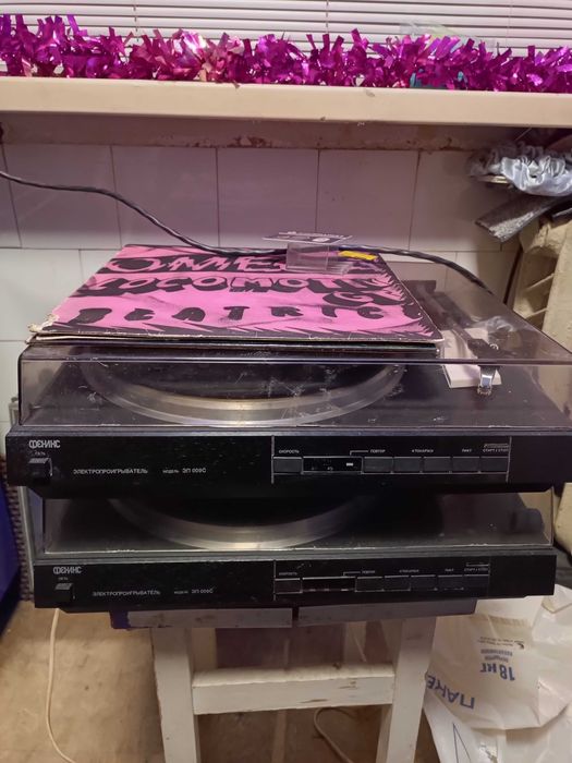 Фениксы пара продать срочно