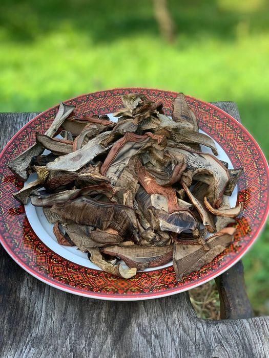 Гриби сушені, Закарпаття