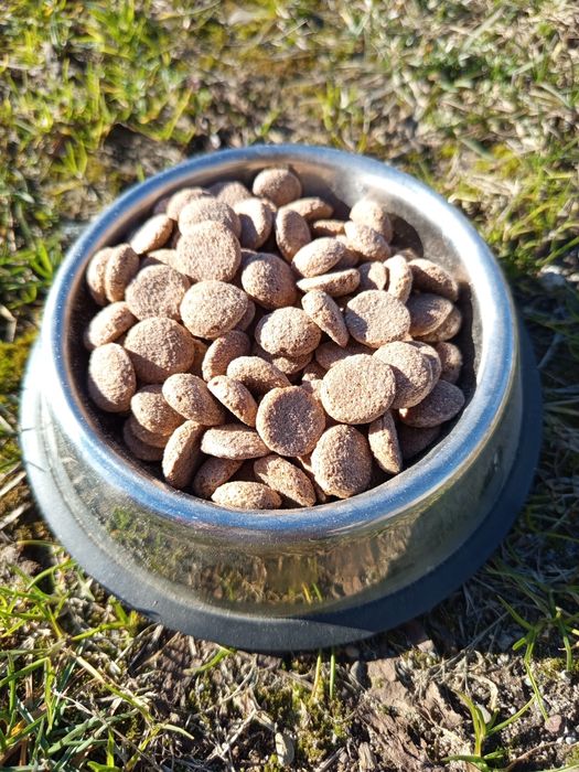 Корм для собак Spiky 20кг зі смаком яловичини