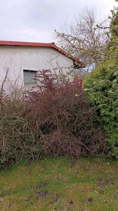 Działka na Puckiej do sprzedania