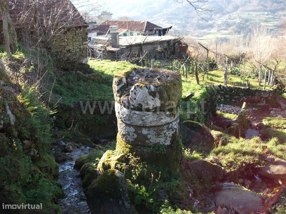 Terreno / Baião, Campelo e Ovil