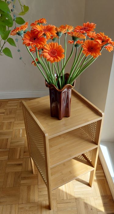 Nowy stolik nocny szafka bambusowa boho naturalna ratanowa do salonu