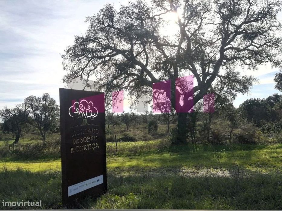 Lote Rústico - Infantado, Samora Correia