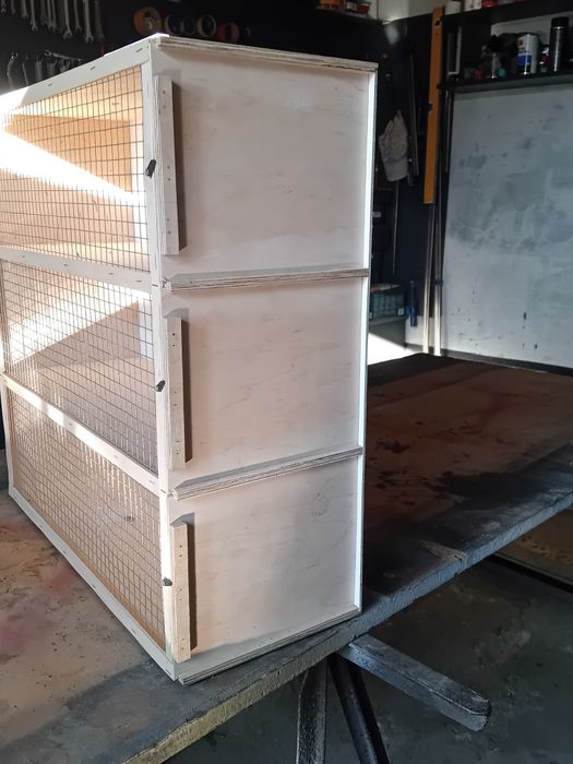 Transporter dla papug