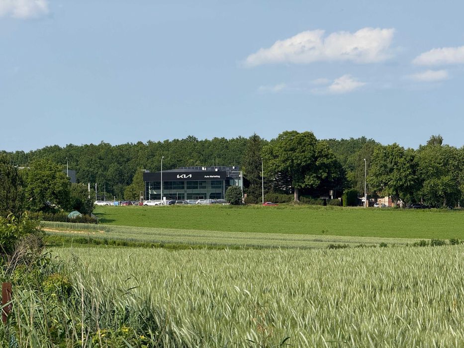 Powierzchnia biurowa z możliwością wynajęcia działki 1000m2