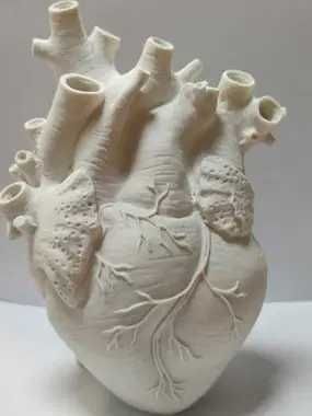 Ваза у формі анатомічного серця