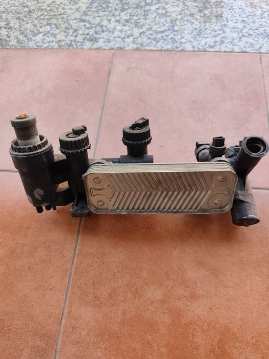 Bomba circuladora  e permutador de placas de caldeira Chaffoteaux Nect