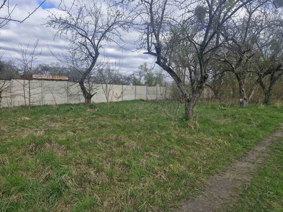 Продаж ділянки 35 сот в с.Сінгури. (26110981)