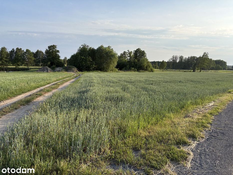 Działka rolna z możliwością zabudowy siedliskowej, Parole gm. Nadarzyn - Widok 3