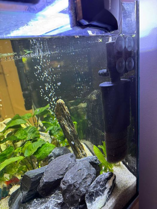 Akwarium z szafka .żywe