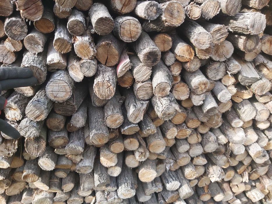 dąb kominkowy suchy drobny gałęziówka