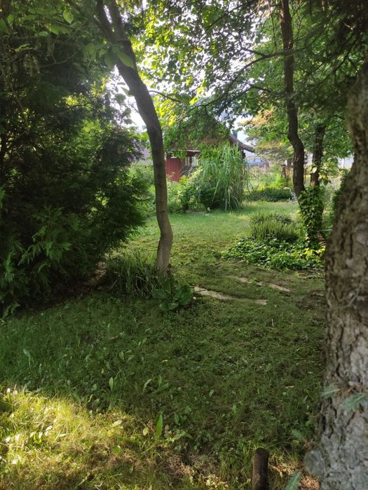 Dziełka ROD Wieliczka