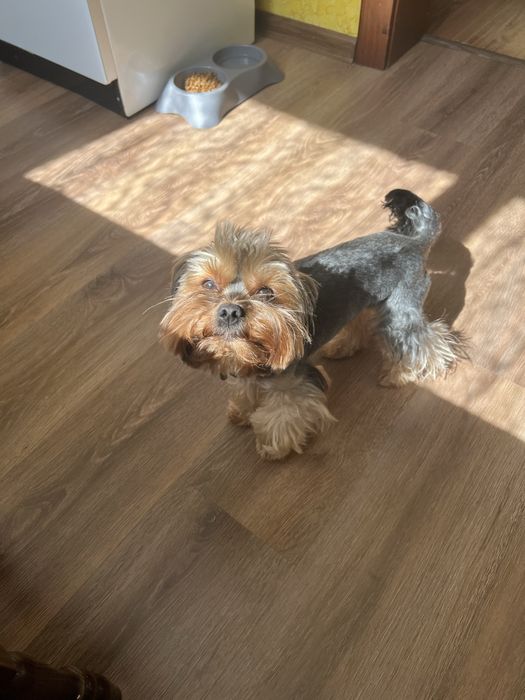 Йорк для вʼязки