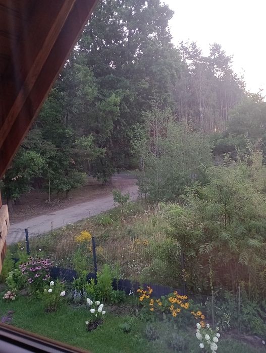 Domek nad jeziorem Jeziorna koło Sława
