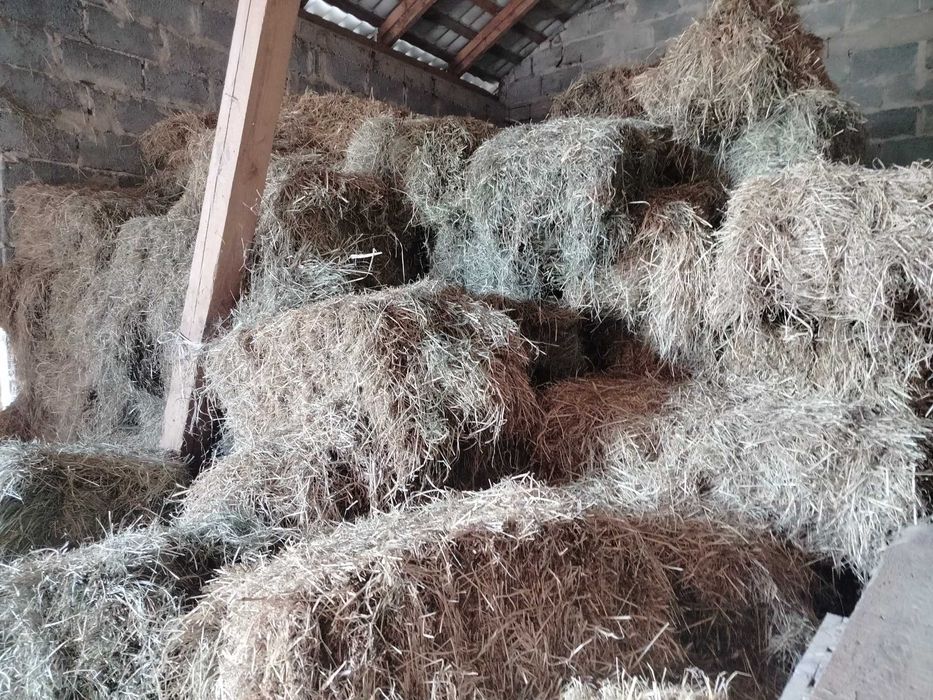 Kostki siana, suche, pachnące