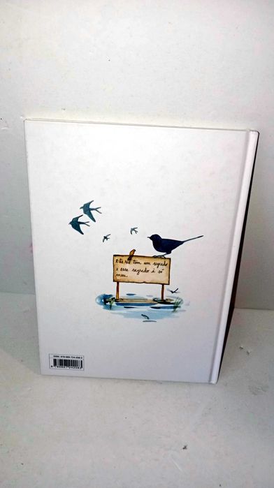 O segredo do Rio - Miguel Sousa Tavares