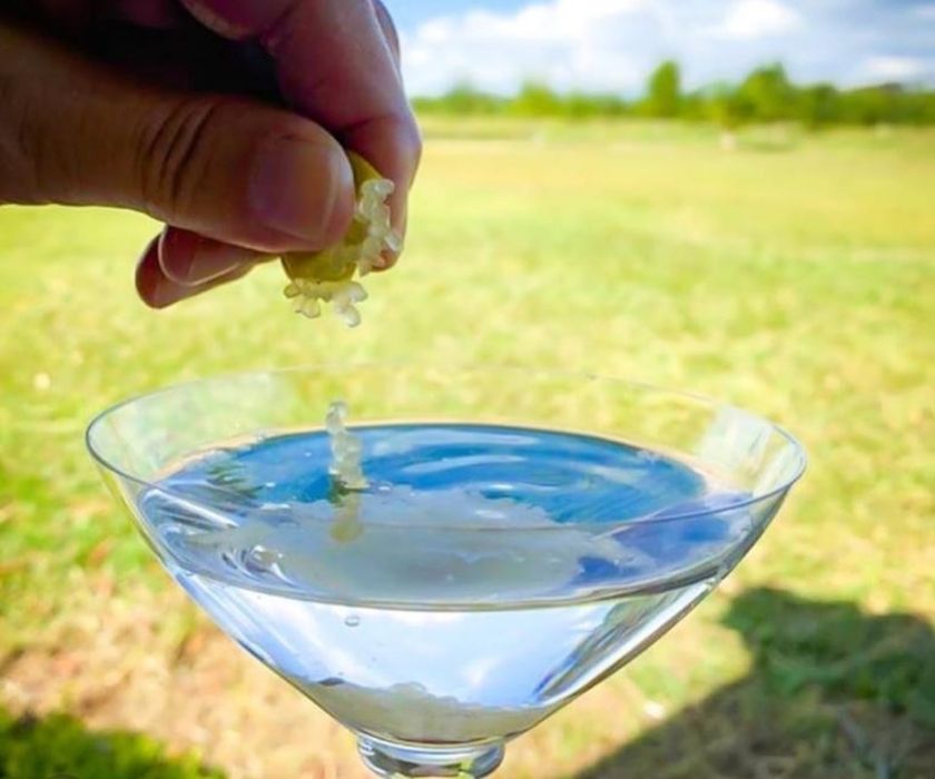 Limão caviar polpa vermelha