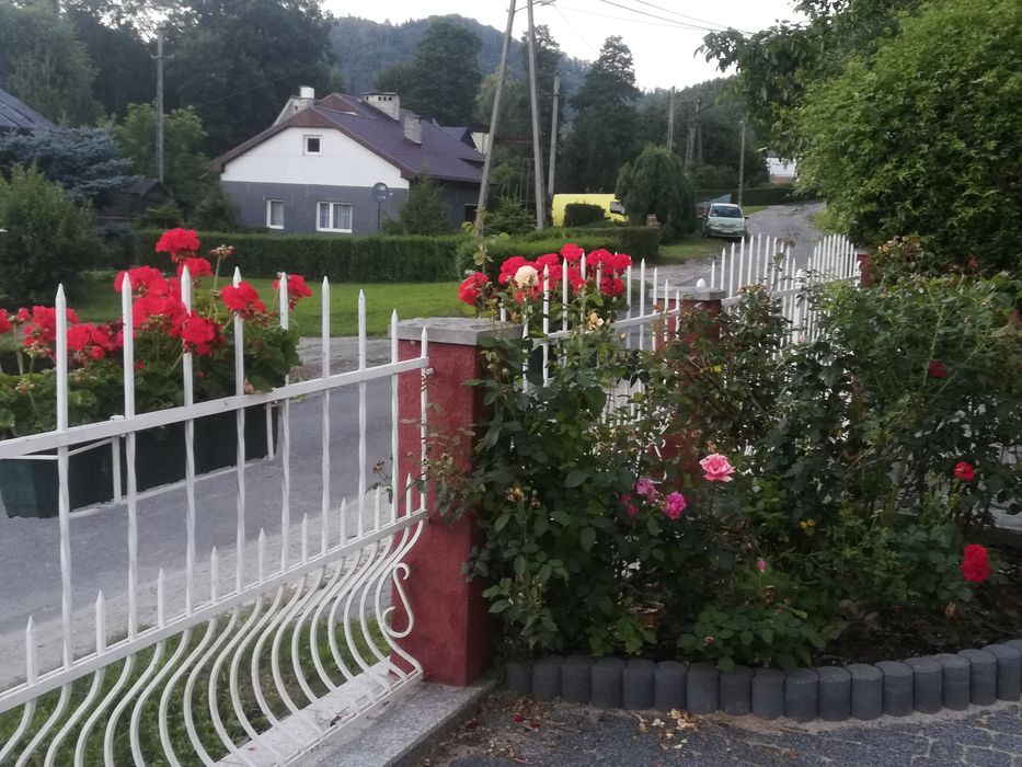 Pokoje gościnne. Apartamenty Sokolec) , Przygórze Góry Sowie,