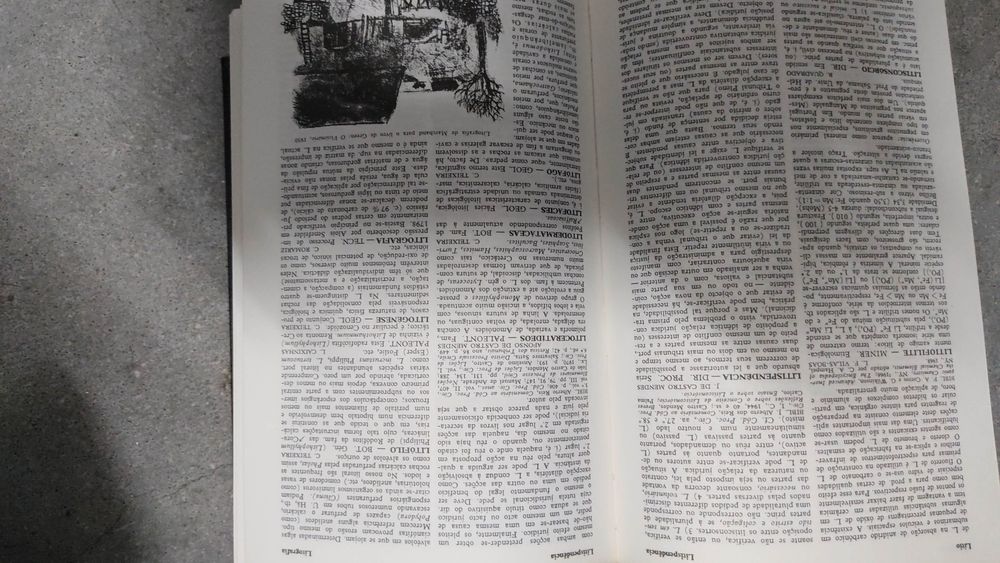 2O volumes Enciclopédia verbo Luso- brasileira de c