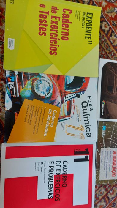 livros 11 ano como  novos