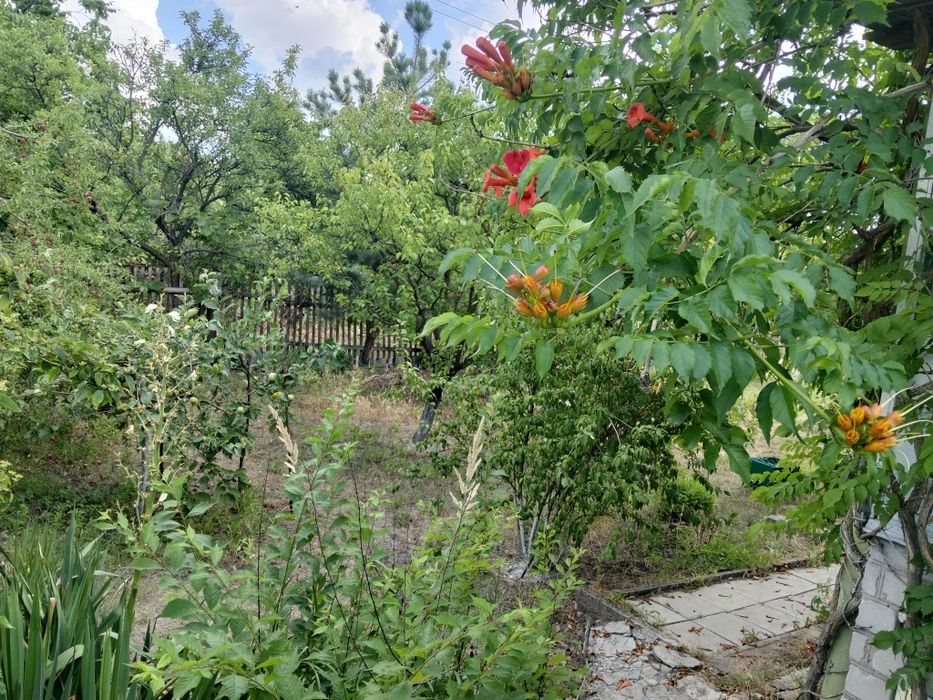 Продам дачу сообщество ,,Аист,,