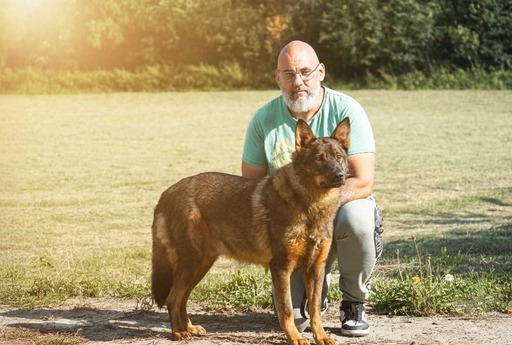 FEBEK - duży, brązowy pies szuka domu