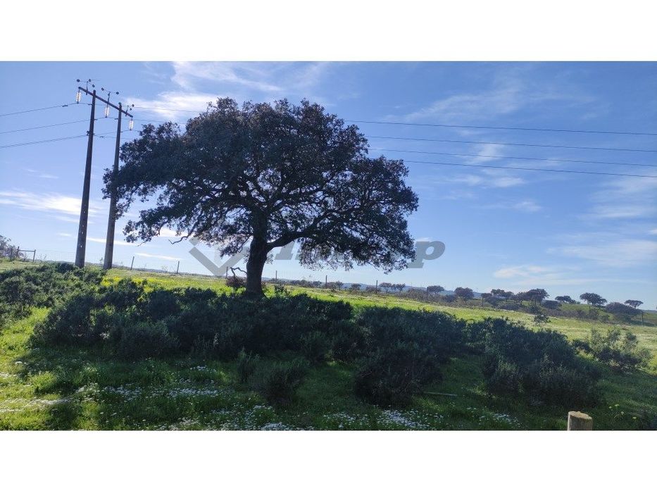 Terreno rústico de 0,775Ha localizado na Dogueno - Almodôvar