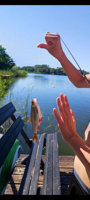 Wynajmę domek letniskowy nad jeziorem