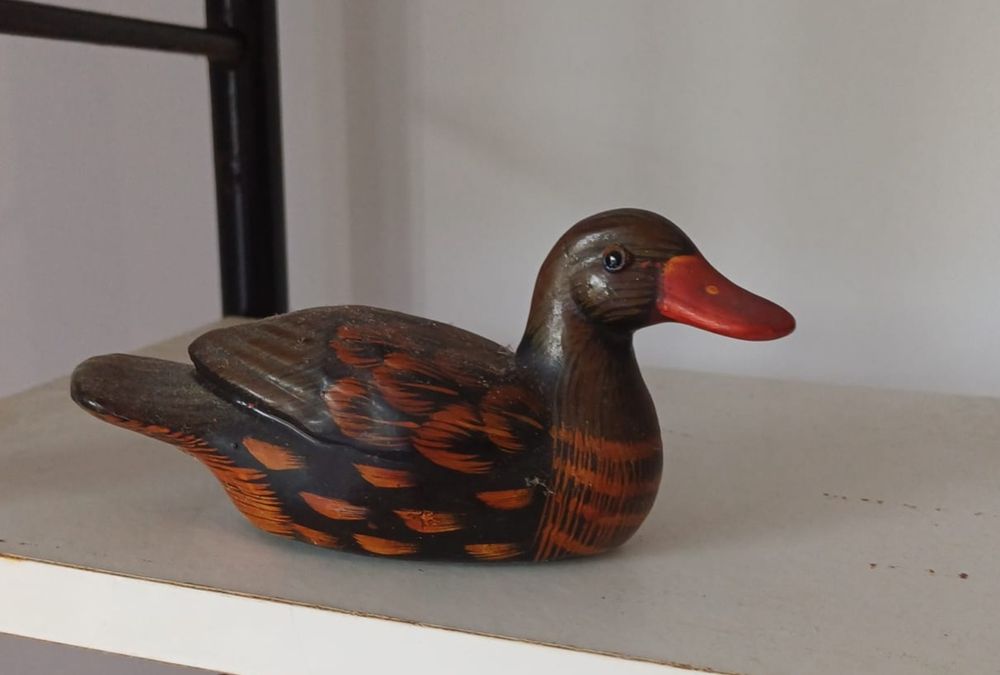 Patos decorativos