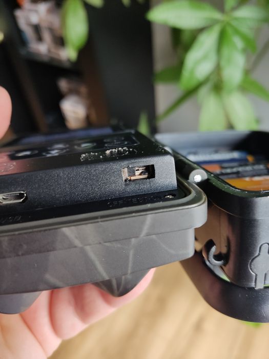 Foto pułapka kamera