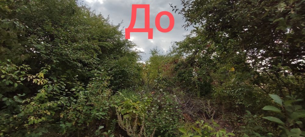 Повне розчищення територій: спил дерев, корчування пнів, косіння, гілкоруб