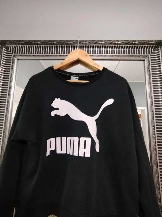 Bluza dobrej firmy