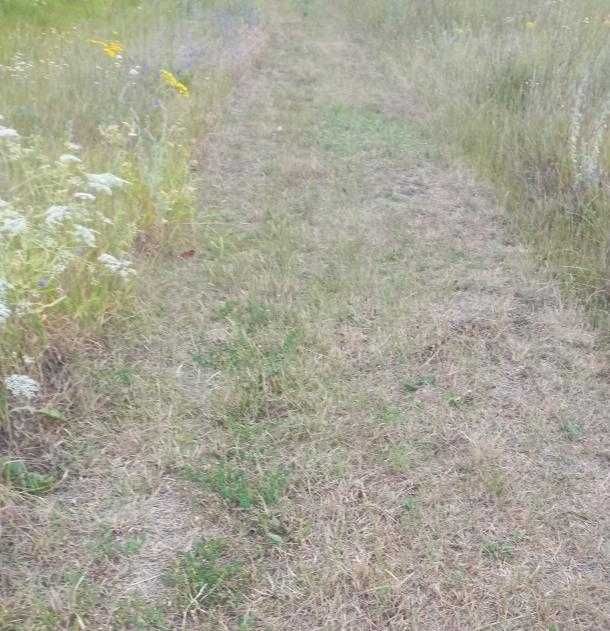 Продам рівний участок правильної форми